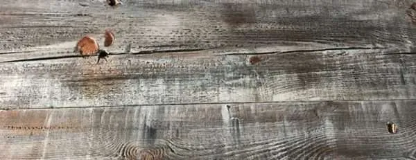 rustic shabba floorboards