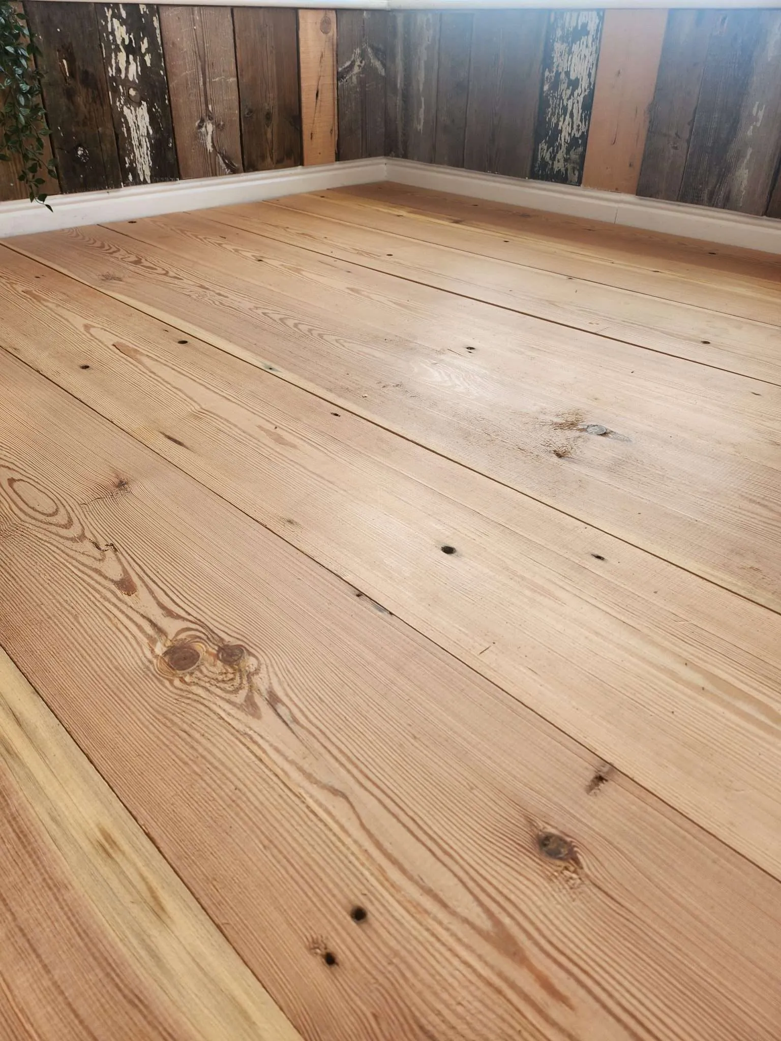 Pitch Pine Floorboards
